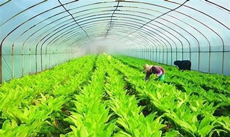 最新!莘禾金融浦三期项目进展如何?今天揭开神秘面纱