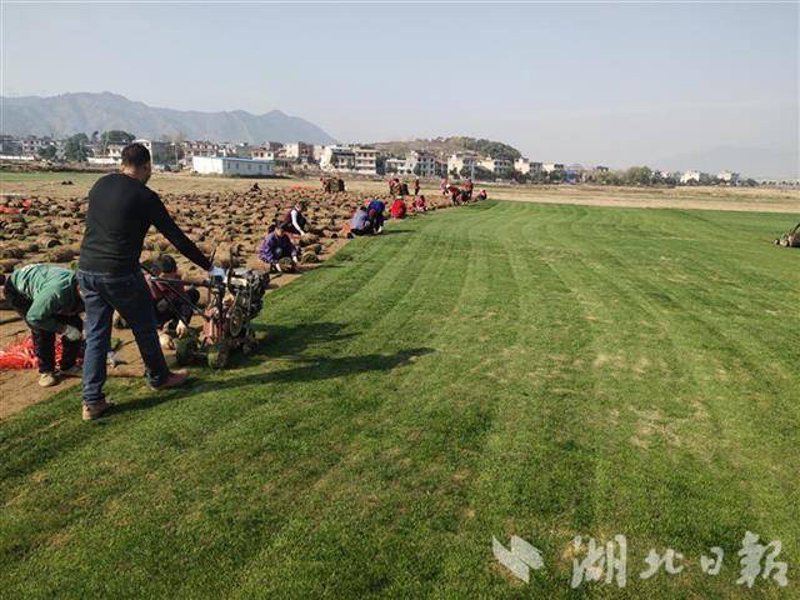 工具推荐类:选择最适合您的地图应用
