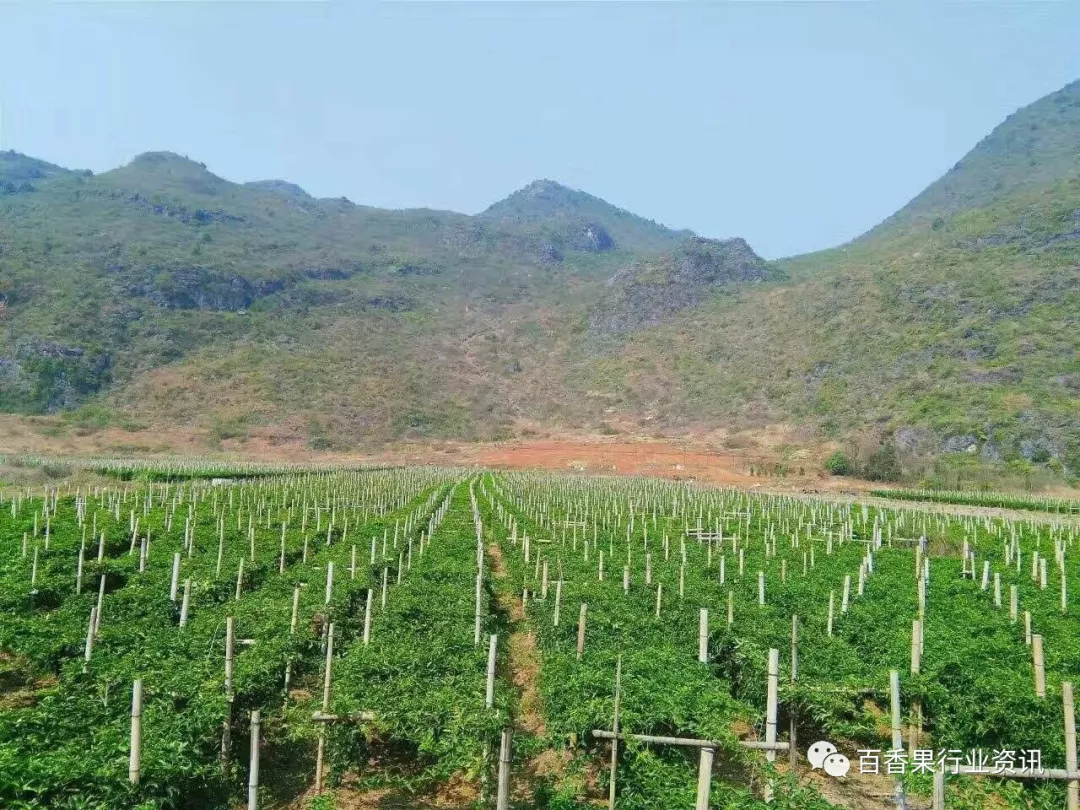 工具推荐类:寻找最适合查询城市的省份工具